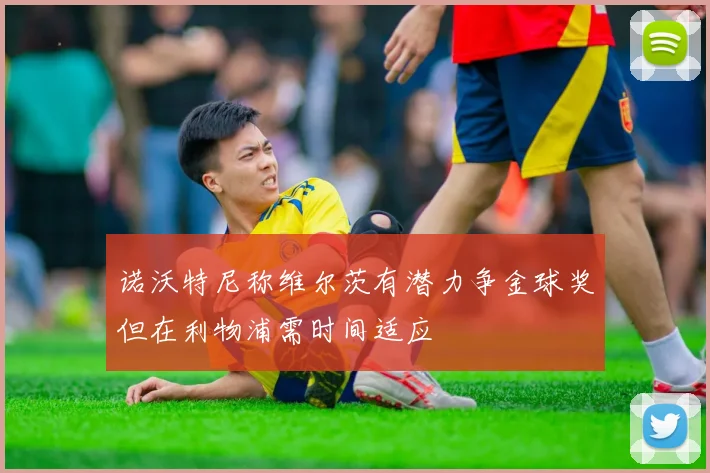 诺沃特尼称维尔茨有潜力争金球奖但在利物浦需时间适应