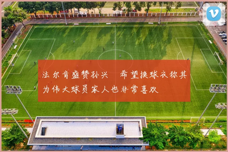 法尔肯盛赞孙兴慜希望换球衣称其为伟大球员家人也非常喜欢