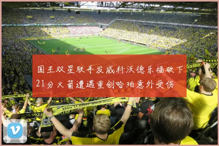 国王双星联手发威科沃德乐福砍下21分火箭遭遇重创哈珀意外受伤